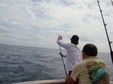 Enlarge photo 90