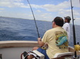 Enlarge photo 85