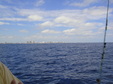 Enlarge photo 81
