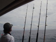 Enlarge photo 78