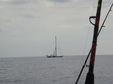Enlarge photo 75