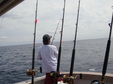 Enlarge photo 71