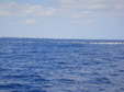 Enlarge photo 70