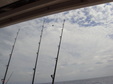 Enlarge photo 68