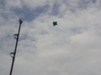 Enlarge photo 67