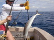 Enlarge photo 62