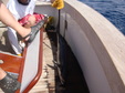 Enlarge photo 61