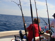 Enlarge photo 58