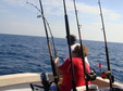 Enlarge photo 57