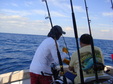 Enlarge photo 56