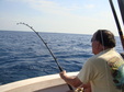 Enlarge photo 55