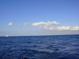 Enlarge photo 51