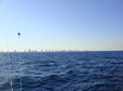 Enlarge photo 49