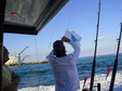 Enlarge photo 48