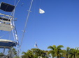 Enlarge photo 38