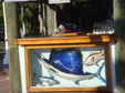 Enlarge photo 36