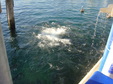 Enlarge photo 27