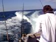 Fishing in Florida 2014