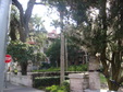 Enlarge photo 33