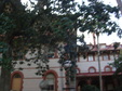 Enlarge photo 34