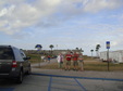 Enlarge photo 43