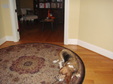Enlarge photo 27