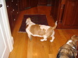 Enlarge photo 29