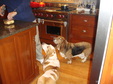 Enlarge photo 31