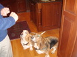 Enlarge photo 32
