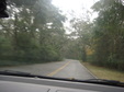 Enlarge photo 37
