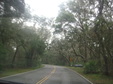Enlarge photo 38