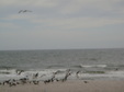 Enlarge photo 39