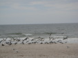 Enlarge photo 42