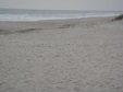 Enlarge photo 41