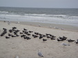 Enlarge photo 43
