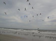 Enlarge photo 47