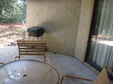 Enlarge photo 63