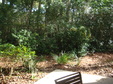 Enlarge photo 65