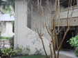 Enlarge photo 66