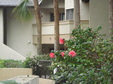 Enlarge photo 67