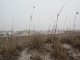 Enlarge photo 71
