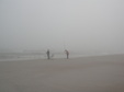 Enlarge photo 74