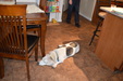 Enlarge photo 4