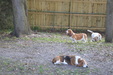 Enlarge photo 11