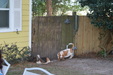 Enlarge photo 14