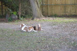 Enlarge photo 16