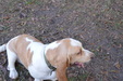 Enlarge photo 19