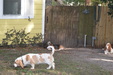 Enlarge photo 21