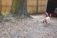 Enlarge photo 23
