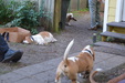 Enlarge photo 25